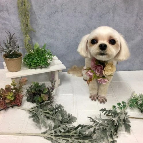 image0