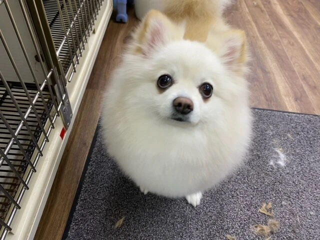 image0