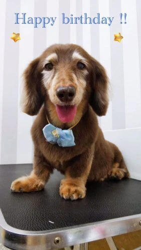 image5