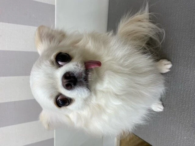 njnjj