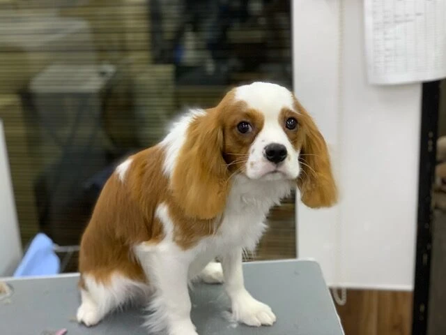 image0