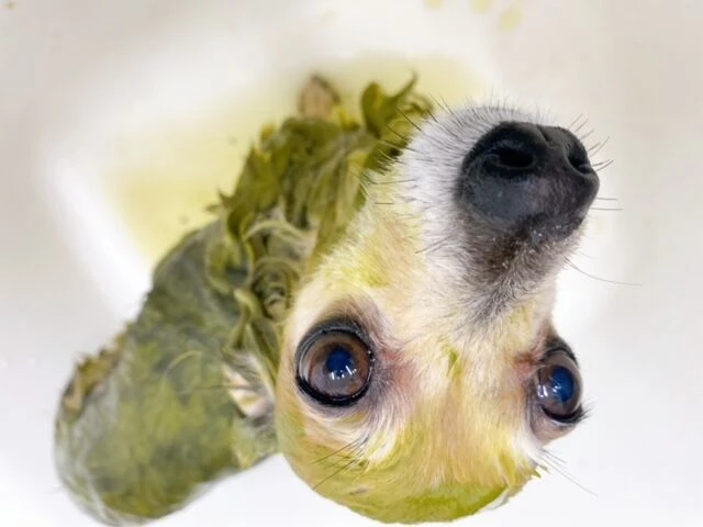 image0