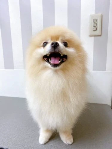 ooooo
