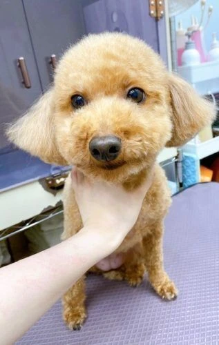 789652