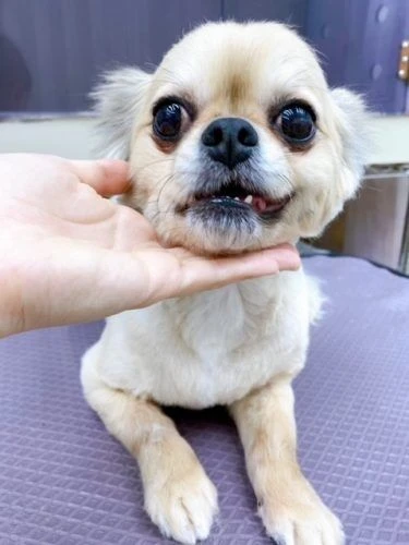 1235