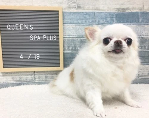 image8