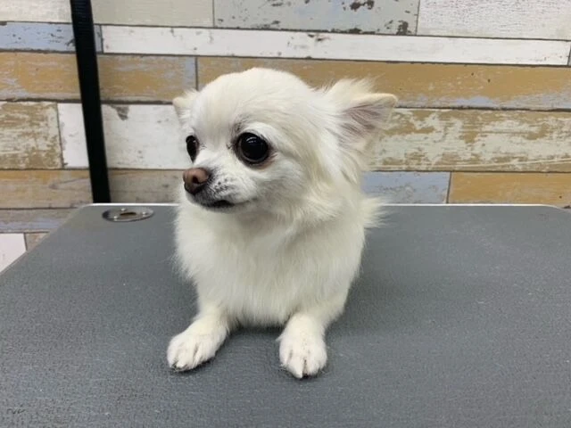 image0