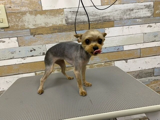 image1-2