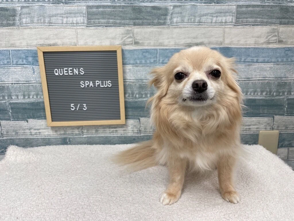 img_0929
