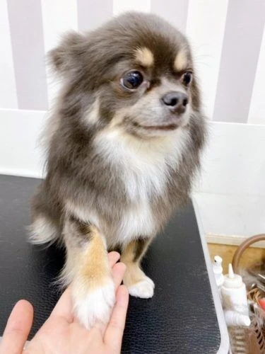 9564