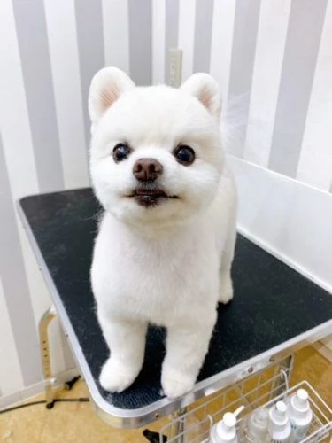 7878