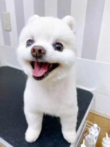 78965