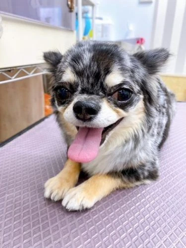 3211