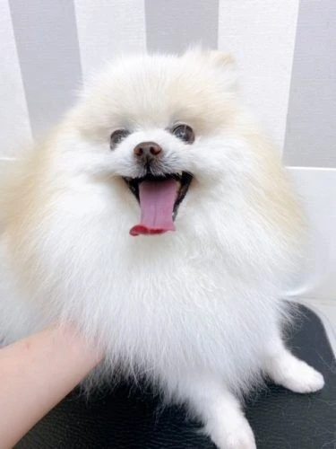 ffff