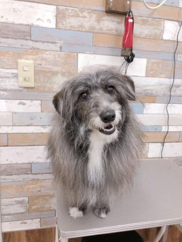 img_2238