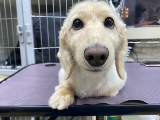 image3
