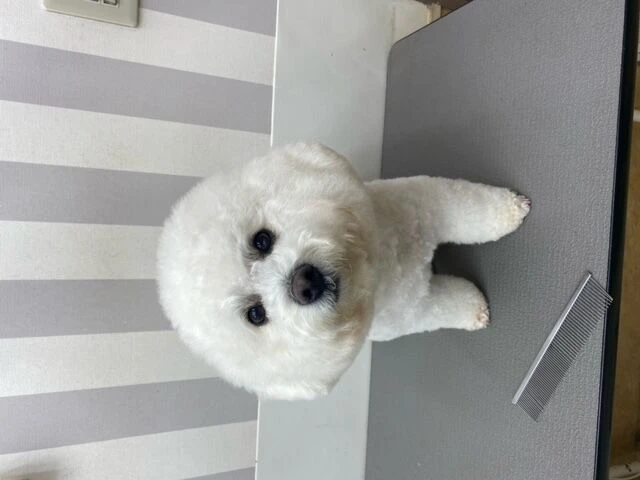 image0