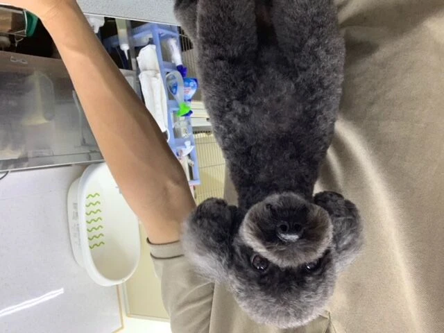 image0