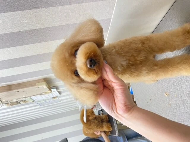 image0
