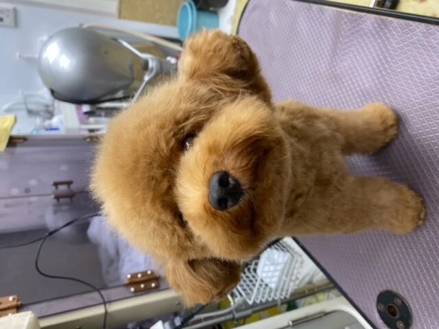 image1