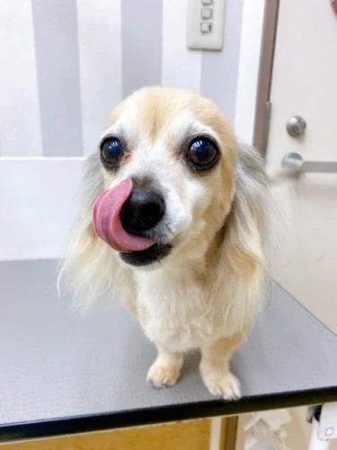 mmm