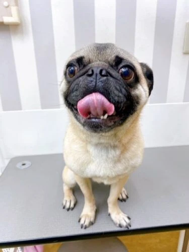 iuiuiuui