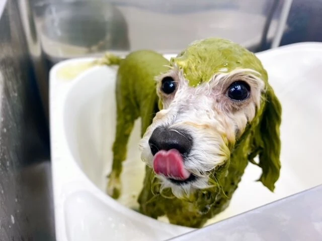 image0