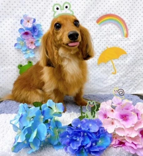 654