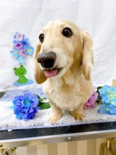 4545