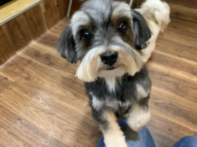 img_2277