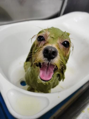 21-06-17-18-19-26-545_deco