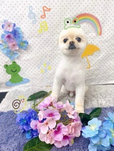 789