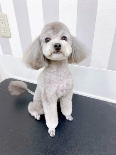 789
