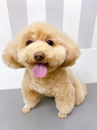 9088