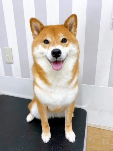 gw
