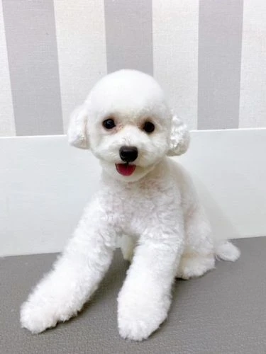 765