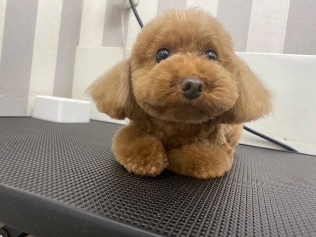 image0