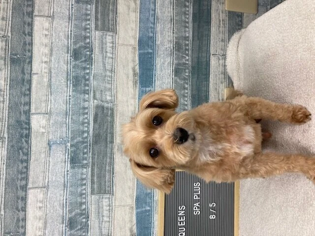 img_2851