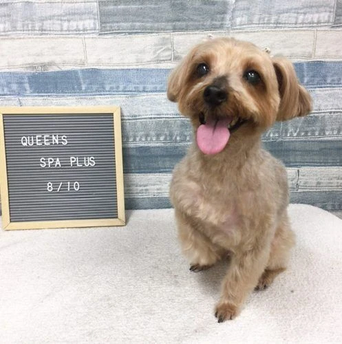 image9