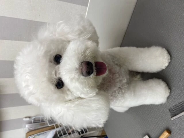 image0