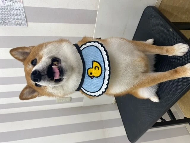 image0
