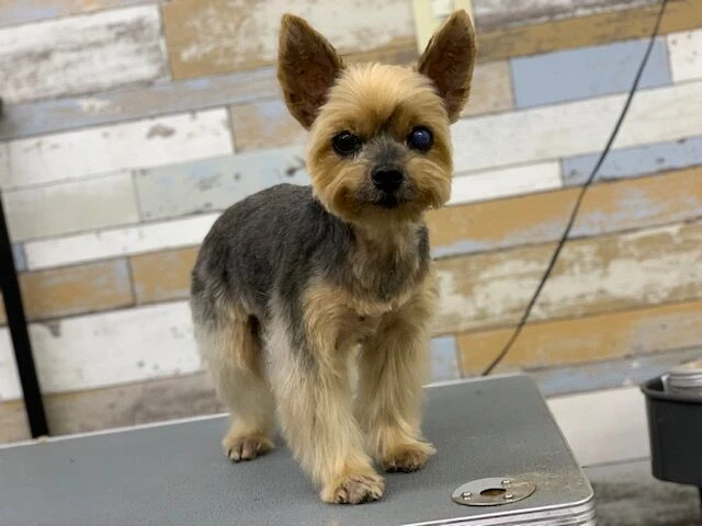 image1