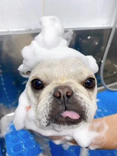 7878
