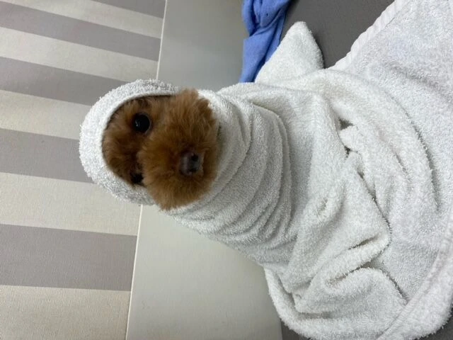 image1