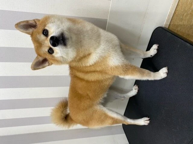 lkjnhb