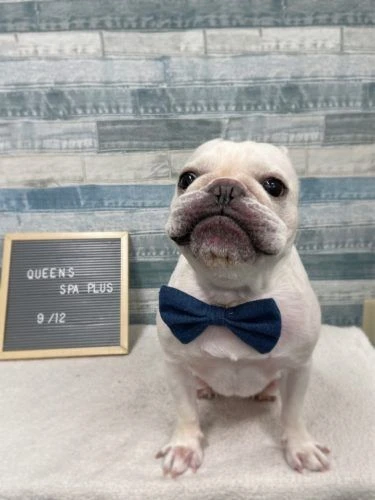 img_8885