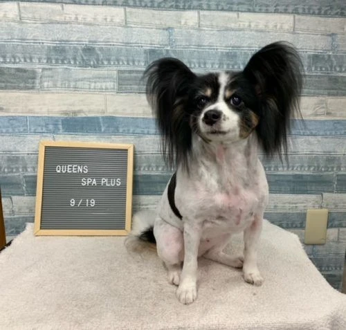image7