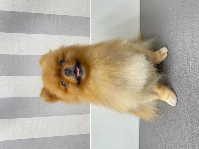 image5
