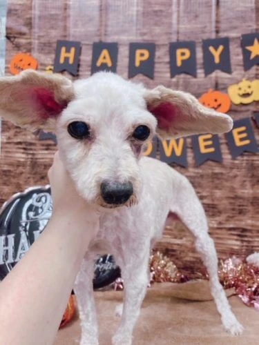 img_3401