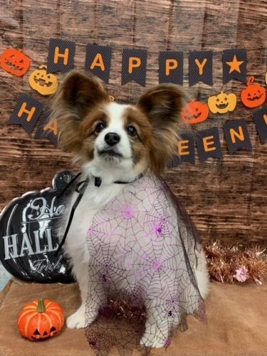 image3